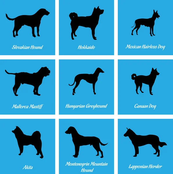 Hunde ikoner – Stock-vektor