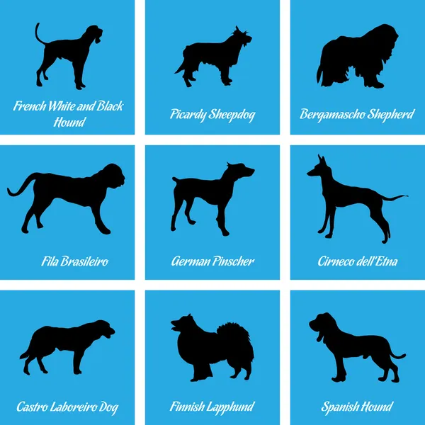 Kutyák ikonok — Stock Vector