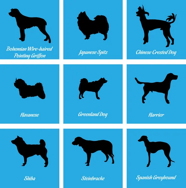 Иконки собак — стоковый вектор