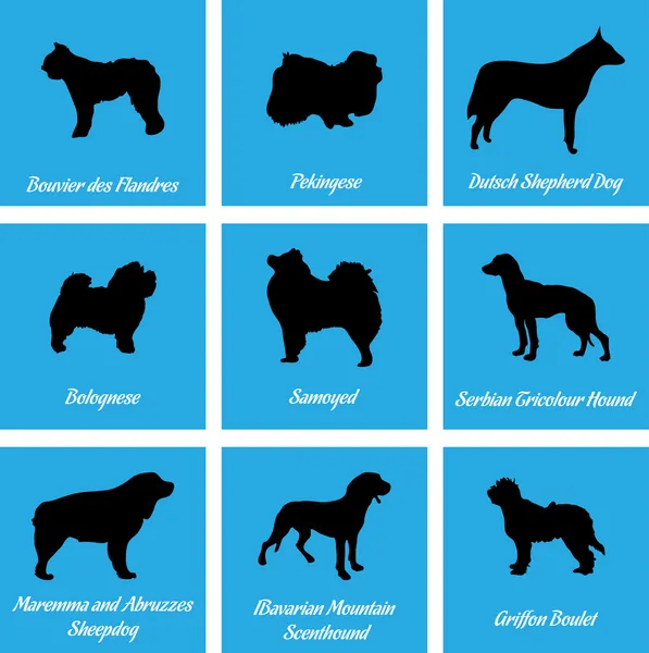Honden pictogrammen — Stockvector