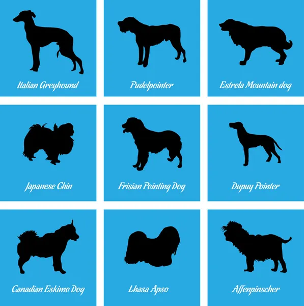 Ícones de cães —  Vetores de Stock