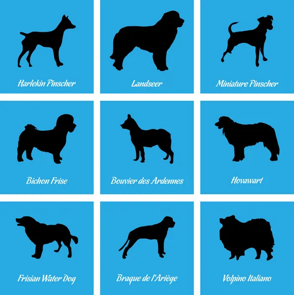 Ícones de cães —  Vetores de Stock