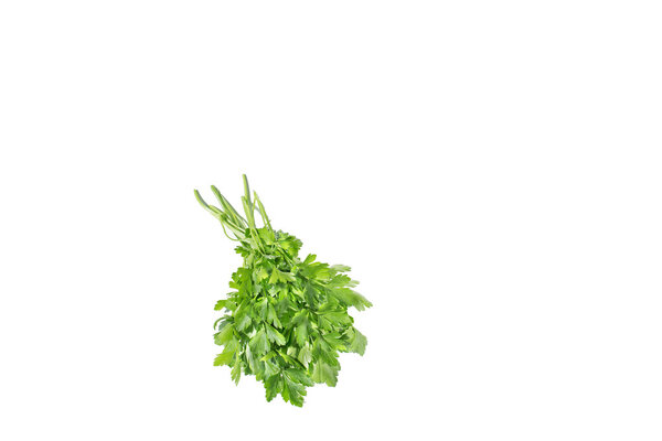 parsley on a white background