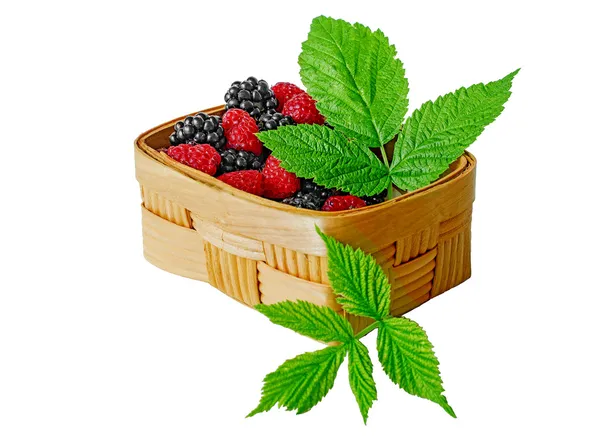 Raspberries blackberries in a wooden basket on a white backgroun — Stock Photo, Image