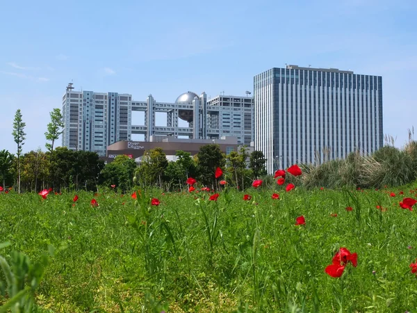 Tokyo modern mimari