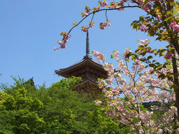 yasaka pagoda Kyoto