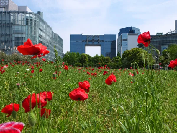Odaiba, Tokyo