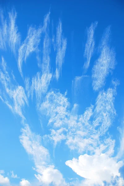 Cielo azul — Foto de Stock