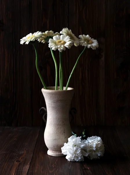 白色的花，插在花瓶里 — 图库照片