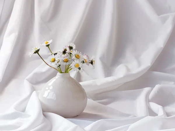 在一个小花瓶小野雏菊 — 图库照片