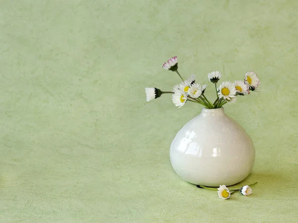 Wild daisies in a little vase — Stock Photo, Image