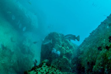 Sri Lanka yakınlarında Hint okyanusu manzarası.