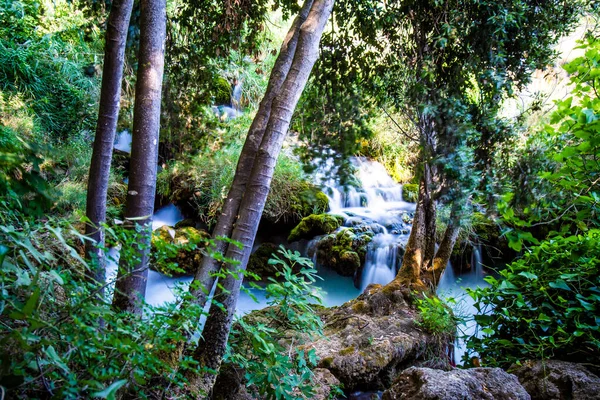 Vodopády Národním Parku Krka Jižním Chorvatsku — Stock fotografie