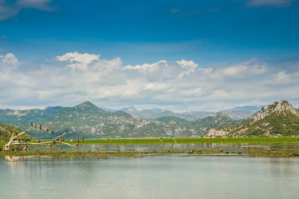 Озеро Скадар Чорногорії Найбільше Озеро Балканах — стокове фото