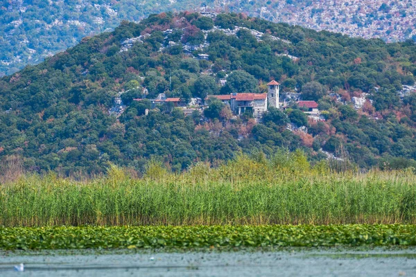 Krásné Jezero Skadar Černé Hoře Největší Jezero Balkáně — Stock fotografie