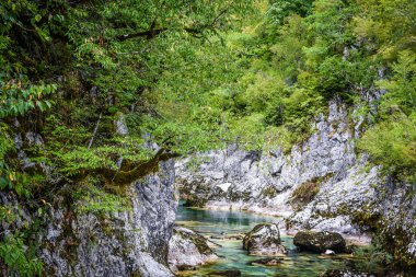 Montgro 'daki güzel nehir Mrtvica.