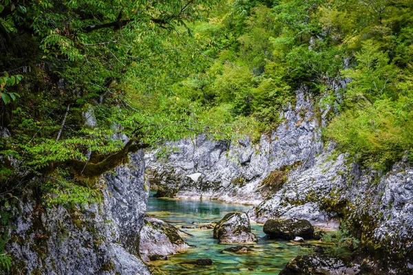 Prachtige Rivier Mrtvica Montenegro — Stockfoto