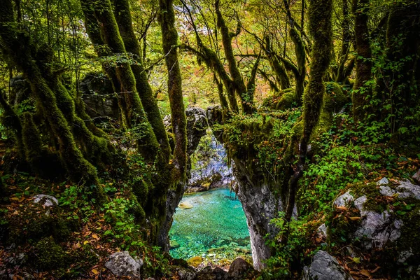 Tor Der Wünsche Der Schlucht Des Flusses Mrtvica Montenegro — Stockfoto