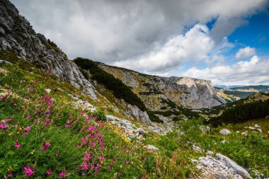 Durmitor dağları Karadağ ve Balkanlar 'daki Durmitor ulusal parkında.