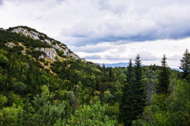 Durmitor dağları Karadağ ve Balkanlar 'daki Durmitor ulusal parkında.