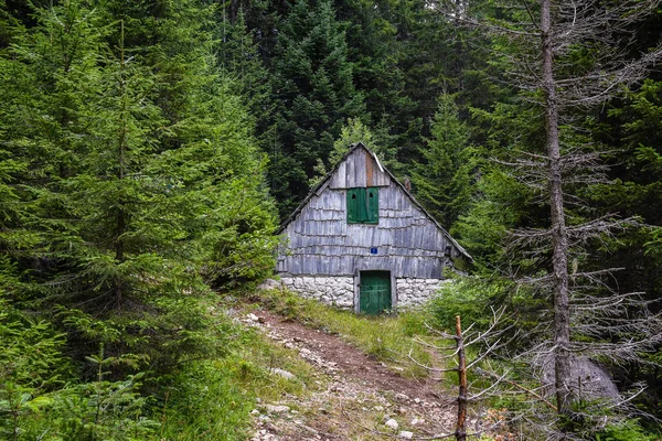 Montañas Durmitor Parque Nacional Durmitor Montenegro Balcanes — Foto de Stock
