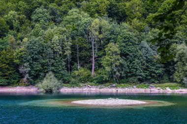 Biogradsko Gölü, Bjelasica 'nın dağlararası vadisinde bir buzul gölüdür. Kolasin, Biogradska Gora Ulusal Parkı. Karadağ Avrupa 'da