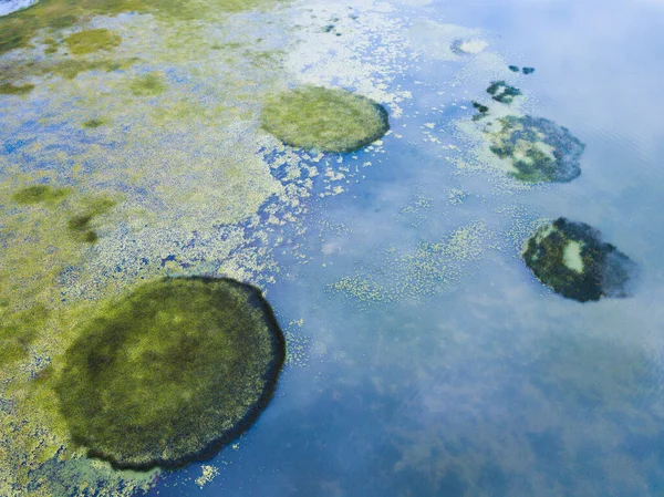 Manantiales Submarinos Parque Nacional Del Lago Skadar Montenegro — Foto de Stock