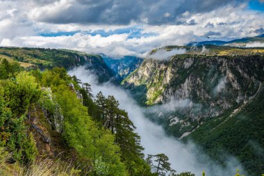 Karadağ, Balkanlar 'daki vahşi Tara nehrinin derin kanyonu. Avrupa 'nın en derin kanyonu..