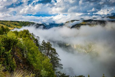 Karadağ, Balkanlar 'daki vahşi Tara nehrinin derin kanyonu. Avrupa 'nın en derin kanyonu..