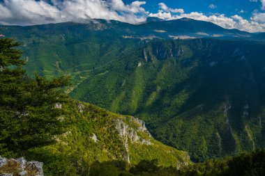 Karadağ, Balkanlar 'daki vahşi Tara nehrinin derin kanyonu. Avrupa 'nın en derin kanyonu..