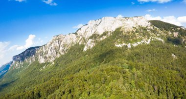 Bosna-Hersek, Balkanlar 'daki Sutjeska Ulusal Parkı. Park, Avrupa 'nın son ana ormanlarından biridir..
