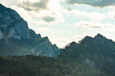 Bosna-Hersek, Balkanlar 'daki Sutjeska Ulusal Parkı. Park, Avrupa 'nın son ana ormanlarından biridir..