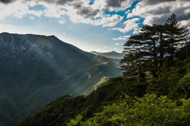Bosna-Hersek, Balkanlar 'daki Sutjeska Ulusal Parkı. Park, Avrupa 'nın son ana ormanlarından biridir..