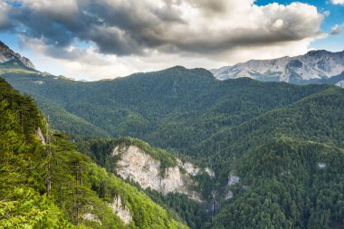Bosna-Hersek, Balkanlar 'daki Sutjeska Ulusal Parkı. Park, Avrupa 'nın son ana ormanlarından biridir..