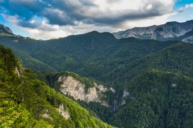 Bosna-Hersek, Balkanlar 'daki Sutjeska Ulusal Parkı. Park, Avrupa 'nın son ana ormanlarından biridir..