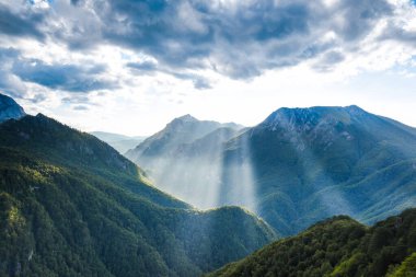 Bosna-Hersek, Balkanlar 'daki Sutjeska Ulusal Parkı. Park, Avrupa 'nın son ana ormanlarından biridir..