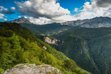 Bosna-Hersek, Balkanlar 'daki Sutjeska Ulusal Parkı. Park, Avrupa 'nın son ana ormanlarından biridir..