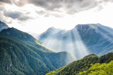 Bosna-Hersek, Balkanlar 'daki Sutjeska Ulusal Parkı. Park, Avrupa 'nın son ana ormanlarından biridir..