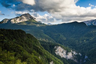 Bosna-Hersek, Balkanlar 'daki Sutjeska Ulusal Parkı. Park, Avrupa 'nın son ana ormanlarından biridir..