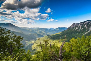 Bosna-Hersek, Balkanlar 'daki Sutjeska Ulusal Parkı. Park, Avrupa 'nın son ana ormanlarından biridir..