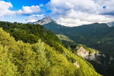 Bosna-Hersek, Balkanlar 'daki Sutjeska Ulusal Parkı. Park, Avrupa 'nın son ana ormanlarından biridir..