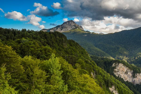 Bosna-Hersek, Balkanlar 'daki Sutjeska Ulusal Parkı. Park, Avrupa 'nın son ana ormanlarından biridir..