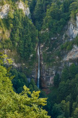 Şelale Skakavac, Perucica Yağmur Ormanı 'nda Sutjeska Ulusal Parkı' nda.
