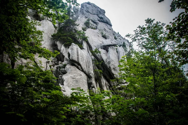 Природний Ліс Довкола Охоронної Території Гори Бієле Стейн Хорватія — стокове фото