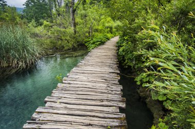 Plitvice Lakes Ulusal Parkı Hırvatistan ve Avrupa 'da turkuaz mavi ve yeşil sularla renklendirilmiş manzara.