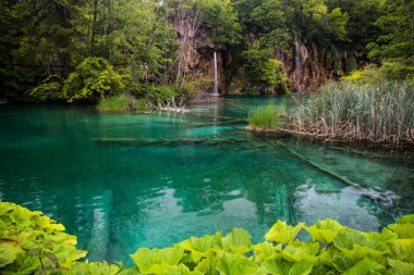 Plitvice Lakes Ulusal Parkı Hırvatistan ve Avrupa 'da turkuaz mavi ve yeşil sularla renklendirilmiş manzara.