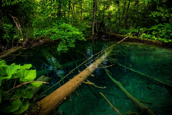 Plitvice Lakes Ulusal Parkı Hırvatistan Avrupa Turkuaz Mavi Yeşil Sularla — Stok fotoğraf