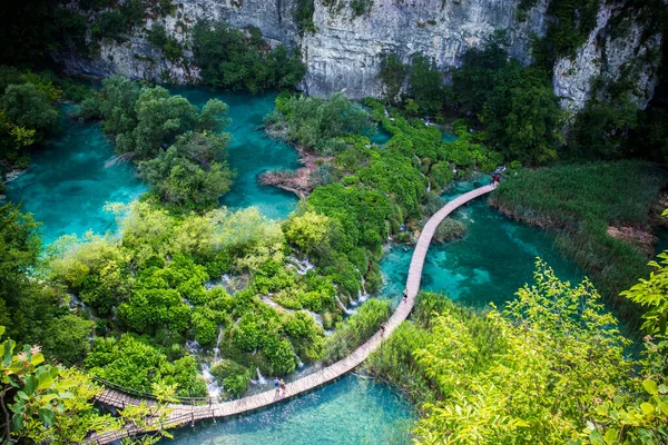 플리트비체 공원의 크로아티아 유럽의 푸르고 뒤덮인 — 스톡 사진
