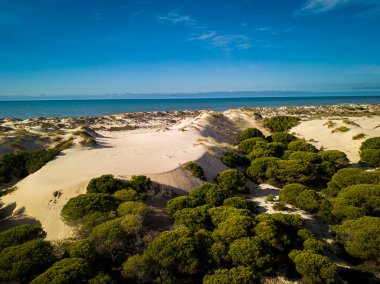 Donana Ulusal Parkı, Mazagon, Huelva, Endülüs, İspanya