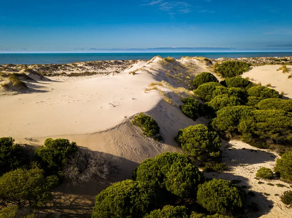 National Park of Donana, near Mazagon, Huelva, Andalusia, Spain
